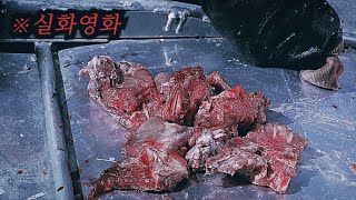 당신은 살기위해 인육을 먹을 수 있나요? [영화리뷰/결말포함]