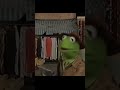 Kermit opposes violence but #shorts