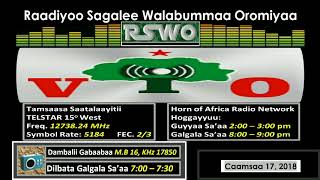 RSWO - Caamsaa 17, 2018: Ajjeefamuu Hoogganaa Daangoteefi Duula Oromoota Gujiirratti Baname