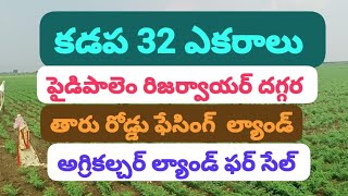 కడప 32 ఎకరాలు అగ్రికల్చర్ ల్యాండ్ ఫర్ సేల్ please subscribe 🙏 8897702061