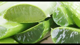 The Truth About Aloe | WebMD