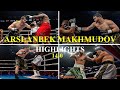 Arslanbek Makhmudov All Knockouts & Highlights (14-0)