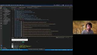 NEAR from Scratch: AssemblyScript Project Setup
