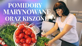 Marynowane pomidory  w 24 godziny. Kiszone pomidory