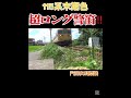 115系末期色　超ロング警笛を鳴らしながら通過‼︎ 警笛 jr西日本 国鉄型 爆音警笛