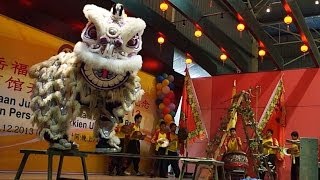 2014 TRADITIONAL lion dance performance on stage 烏魯冷岳福建公會龍獅團－智取金線釣芙蓉