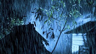🔴 Powerful Rain and Thunder Sounds for Sleeping | Rainstorm - Sleep Sounds - ASMR