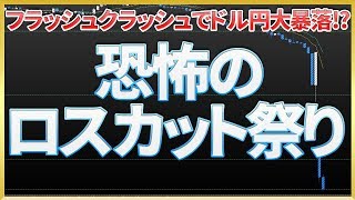 【 ドル円大暴落!? 】 年末から大荒れのFX‼フラッシュクラッシュの正体とは⁉ 【 強制ロスカット祭り 】