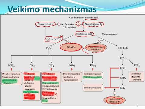 Nervinis Kosulys – Priežastys, Simptomai Ir Gydymas | Medicina 2024