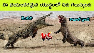 Crocodile vs Komodo dragon | animals | BMC Facts | interesting Facts | Telugu facts | amazing facts