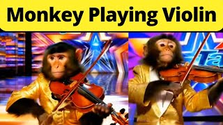 Monkey Playing Violin Real or Fake | Monkey Playing Violin is Real ? | Video Check | Rumours