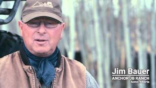 Winter Grazing Systems: Early Spring Perennial Forage Grazing