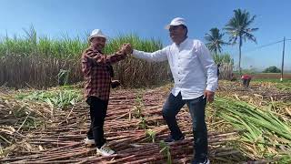 PANEN RAYA TEBU 2022 | INTERVIEW PETANI TEBU DESA MANGLI WETAN BONDOWOSO