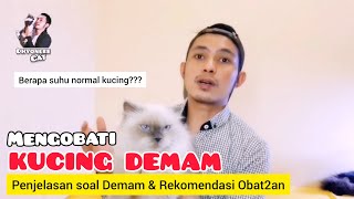 CARA MENGOBATI KUCING DEMAM - OBAT KUCING DEMAM - Penjelasan Soal Demam Pada Kucing