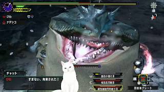 【MHXX】モンハンXX みんなで狩ろうぜ！G級新米ハンターの全力狩り物語#15【生放送アーカイブ】