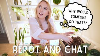 9 things I still don't understand about the plant hobby... 😅