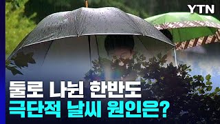 둘로 나뉜 한반도...극단적 날씨 원인은? / YTN