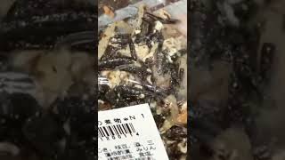 #short  Jiriki Seaweed Tofu Japanese dish#satisfying #asmr #dietfood #amazing