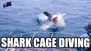 CAN YOU BELIEVE THIS?! We Went Cage Diving with GREAT WHITE SHARKS!