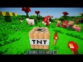 Minecraft Too Much TNT Mod  35 New TNTs!
