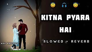 Kitna pyara hai Ye chehra || Full Lofi Song || Slowed and Reverb || BINDASH BROTHER || Udit narayan
