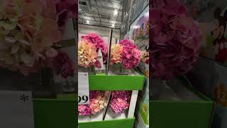 New! Costco’s Latest florals for spring 2025 faux floral arrangement #costco #spring2025