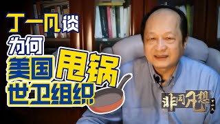 威胁WHO暂停资助，架空WTO仲裁委员会，特朗普还想退多少群？