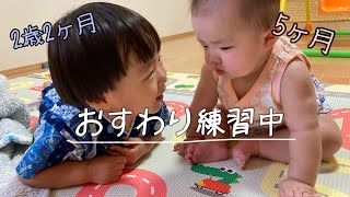 【年子】おすわりの練習中！5ヶ月の赤ちゃんとそれを見守るお兄ちゃん