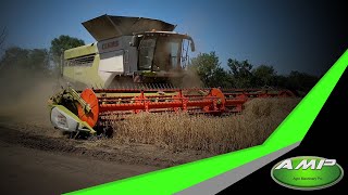 CLAAS Lexion 8700  harvest workflow _ робочий процес збору врожаю (original sound)