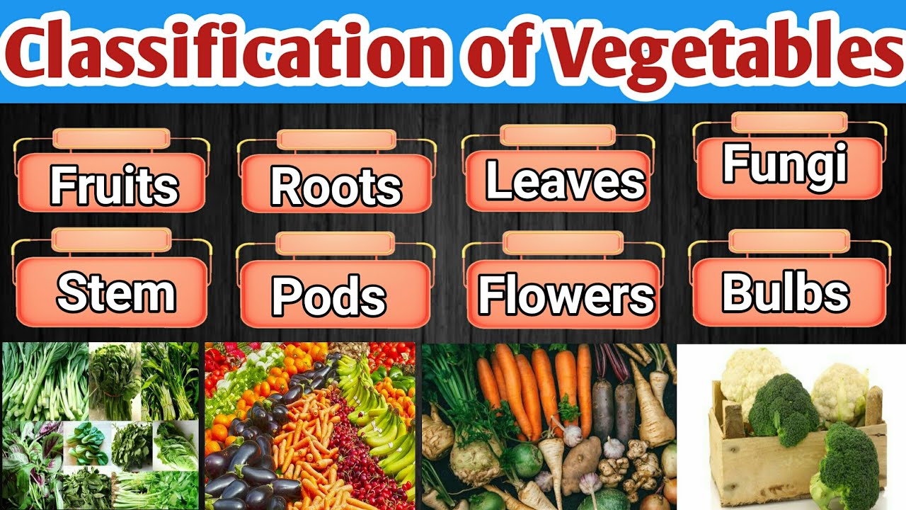 Types Of Vegetables || Classification Of Vegetables! - YouTube