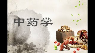 于虹讲中药学 课时49 清热燥湿药2