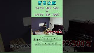 【フルート】70万vs500万【音色比較】