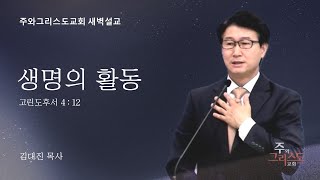 [주와그리스도교회] 2024.12.26 생명의 활동 (고후 4:12)  김대진 목사