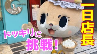 ケーキ屋さんの一日店長で大活躍しましたっ☆