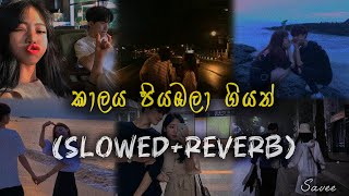 කාලය පියඹලා ගියත්  ▏Kalaya piyabala giyath ▏slowed+reverb 🤍🍃