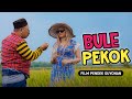 BULE PEKOK - FILM KOMEDI JAWA LUCU