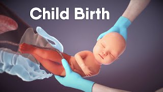 Labor And Delivery | Childbirth | Dandelion Medical Animation #labor