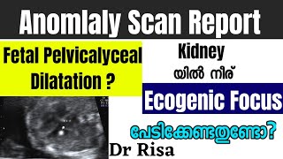 Abnormalities in Fetal Scan Report Malayalam | Fetal Pelvicalyceal Dilatation| EIF