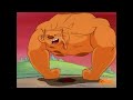 Catdog- Dog Muscle Growth 4