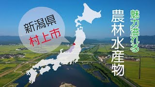 新潟県村上市農林水産物ＰＲ動画