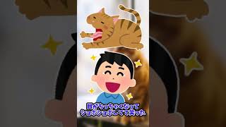 【2ch面白いスレ】うちの猫がかわいいんだがwww...【2chショート】#Shorts