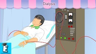 Dialysis Learn for Children and Kids | EDUKID Learning