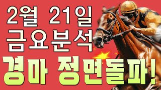 2/21[금] 금요 부산/제주 예상 분석방송! 플랜A 그리고 플랜B 두가지 계획이 모두 필요한 부산경마 입니다!