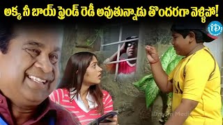 అక్క నీ బాయ్ ఫ్రెండ్ రెడీ అవుతున్నాడు | Pokiri Movie - Ileana, Brahmanandam Love Scenes | iDream