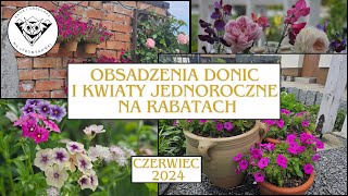 Obsadzenia donic i kwiaty jednoroczne na rabatach