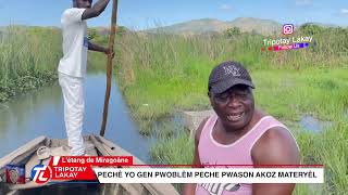 Mezanmi gad richès kap gaspiye nan l'étang de miragoâne. Yon pakèt gwo grenn pwason kap gaspiye