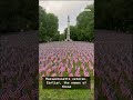 Thousands of flags planted on Boston Common for fallen service members