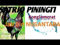 Satrio Piningit Jati Diri Nusantara@Ewid Channel#satriopiningit#jatidirinusantara#konglomerat#vidio#