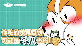 【小魔】你知道吗，你吃的“水果月饼”，可能是冬瓜做的！#shorts