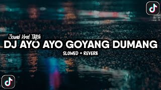 DJ AYO AYO GOYANG DUMANG SLOW VIRAL TIKTOK YANG KALIAN CARI (SLOWED + REVERB)